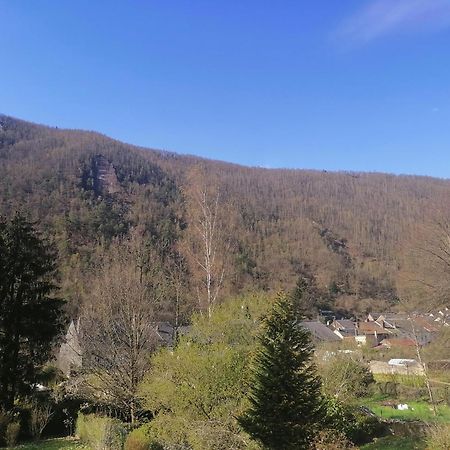 Chez Many, Par Fred Et Henri Bed & Breakfast Monthermé Dış mekan fotoğraf