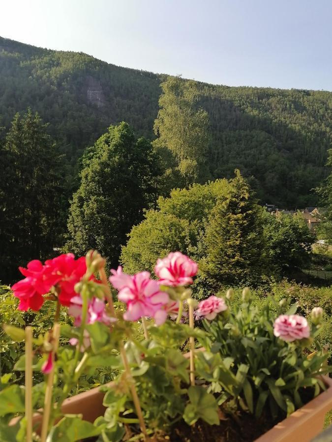 Chez Many, Par Fred Et Henri Bed & Breakfast Monthermé Dış mekan fotoğraf