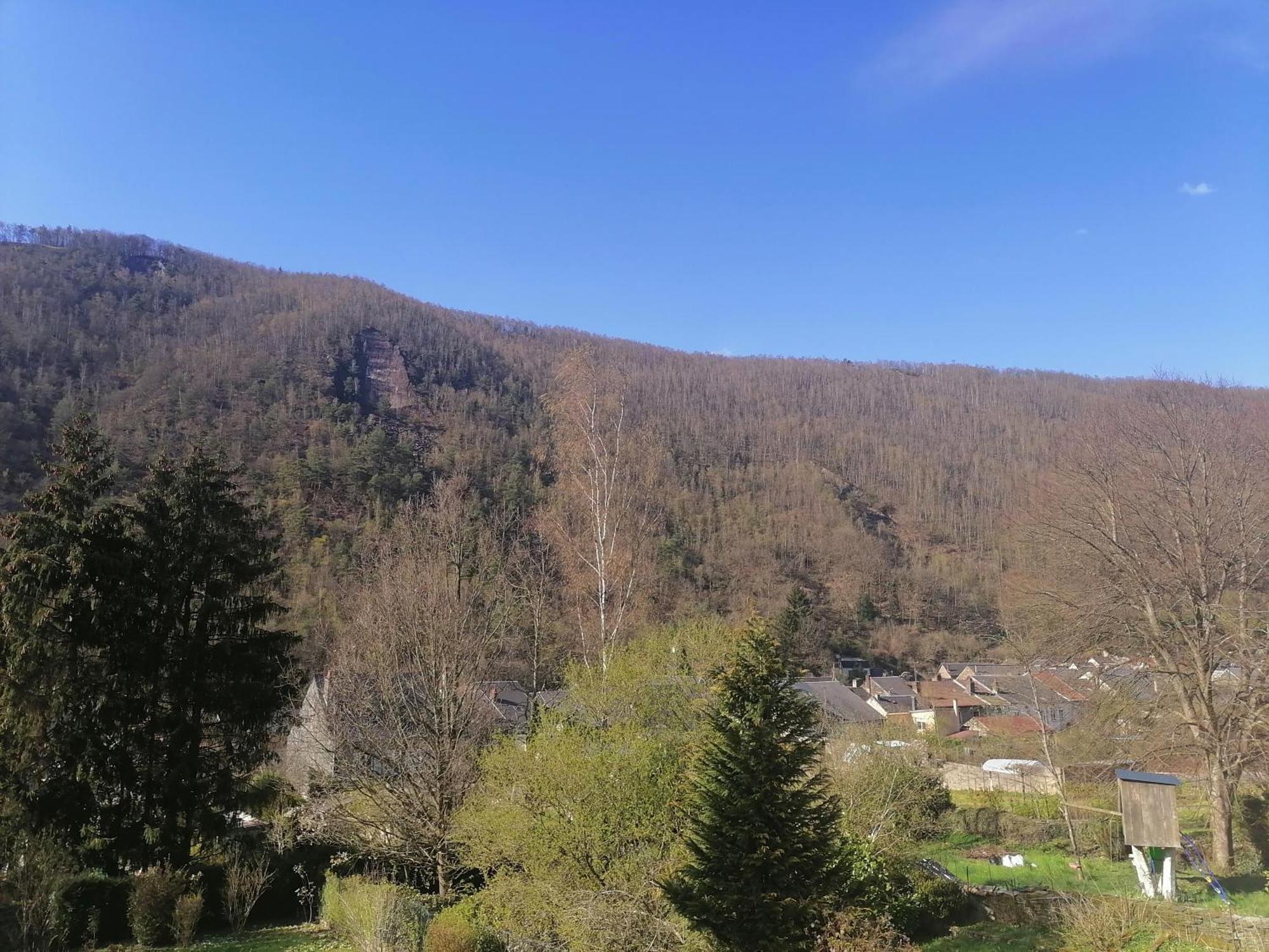 Chez Many, Par Fred Et Henri Bed & Breakfast Monthermé Dış mekan fotoğraf